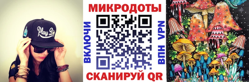 Купить где  Кинель  Галлюциногенные грибы Magic Shrooms 