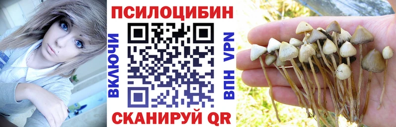 Галлюциногенные грибы прущие грибы Кинель
